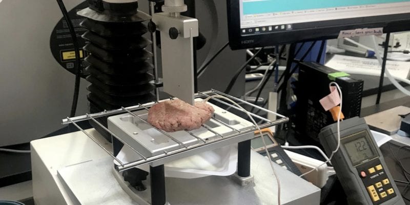 Testing consistency of the Impossible Burger with a Texture Analyzer. - Lynn Doan / Bloomberg